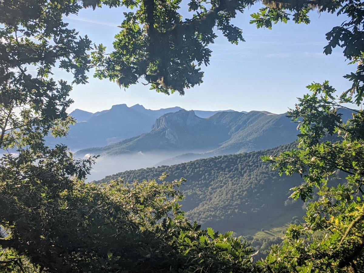 Apartamento Olmares Picos De Europa - 4 Personas Lomeña Eksteriør bilde